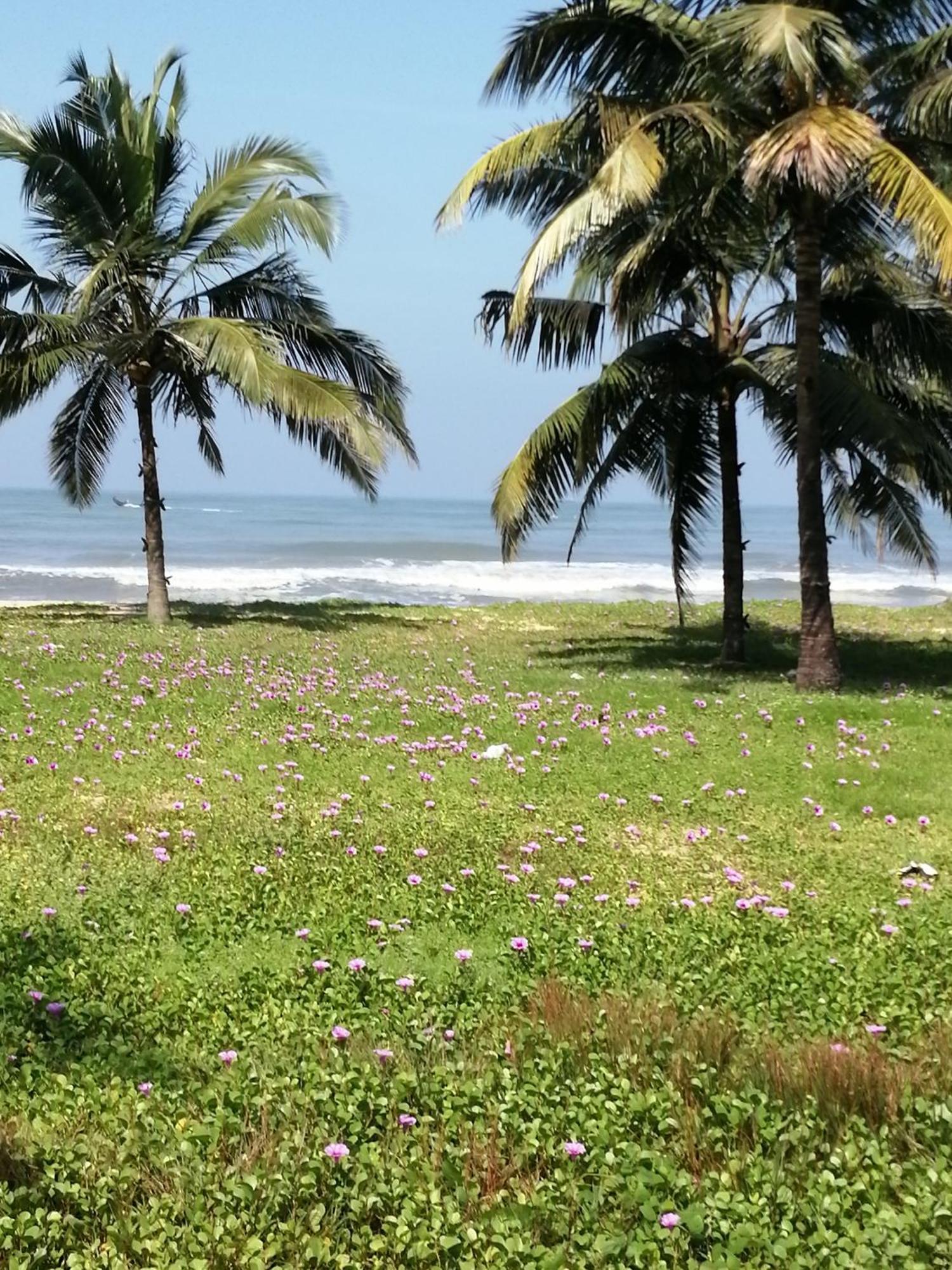 Ocean Whisper- Psst! Hidden Gem Villa Karuvapadna Luaran gambar